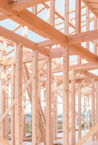 国産木材を切り出す職人