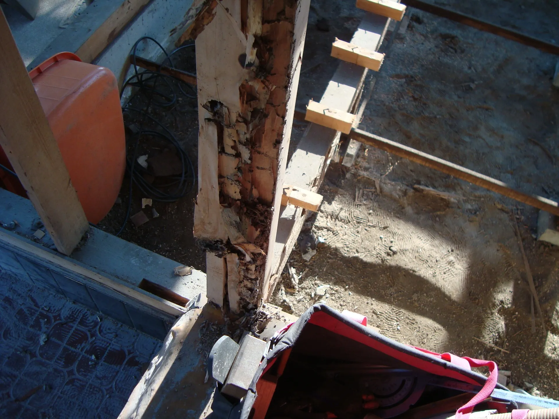 国産木材を切り出す職人