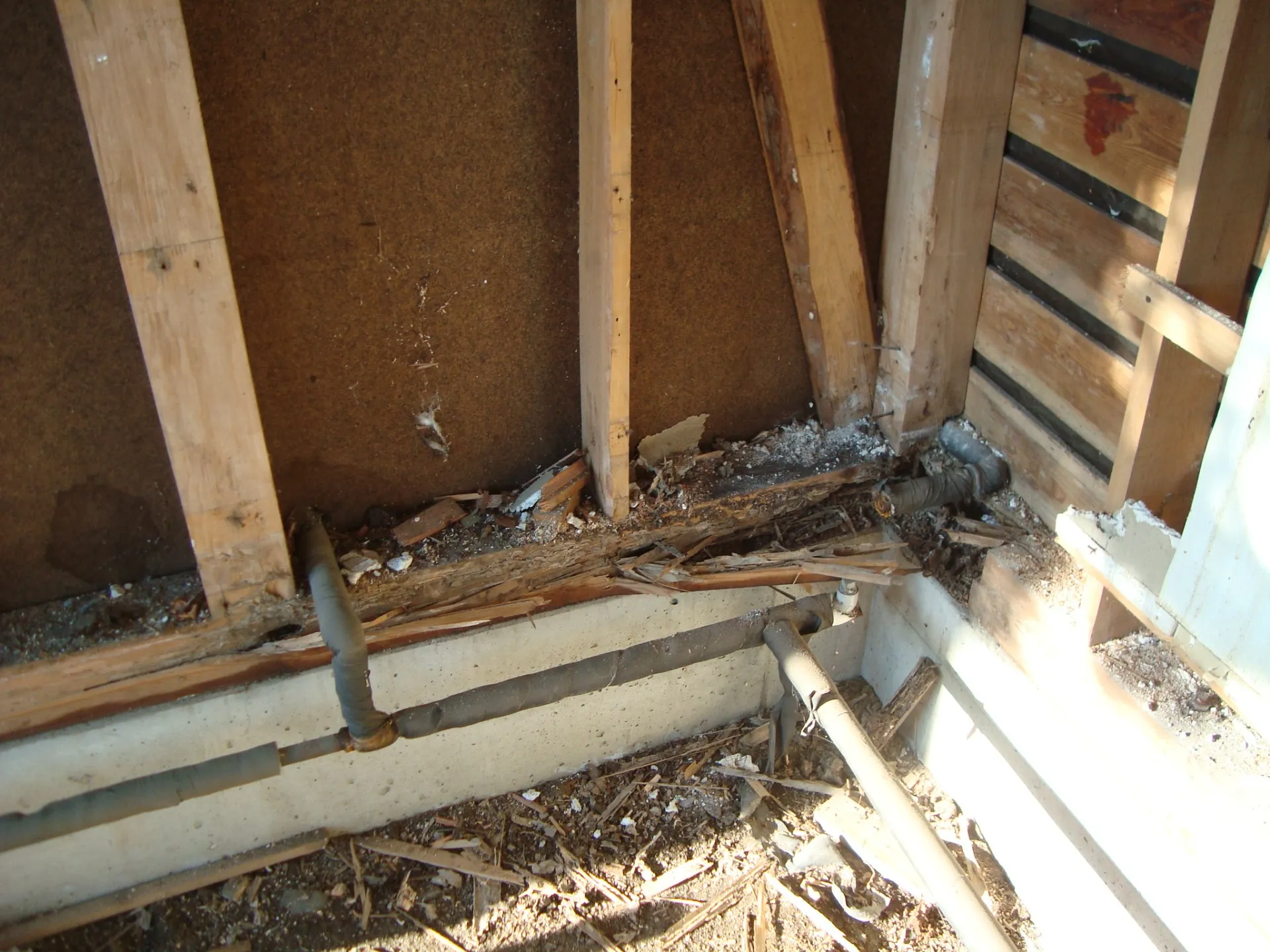 厳選構造材の森