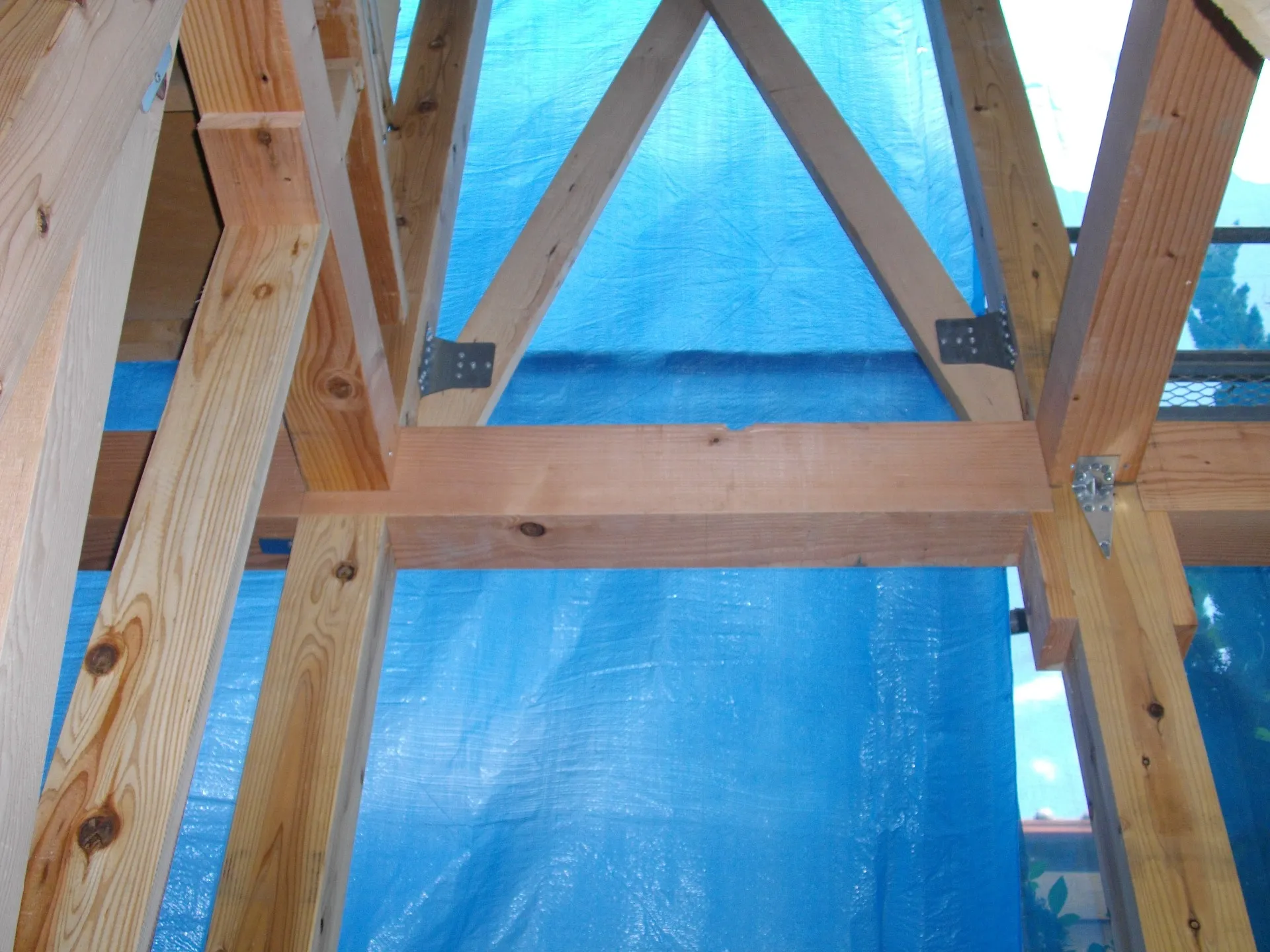 当社プレミアム構造材が生産される森