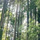 新築・注文住宅